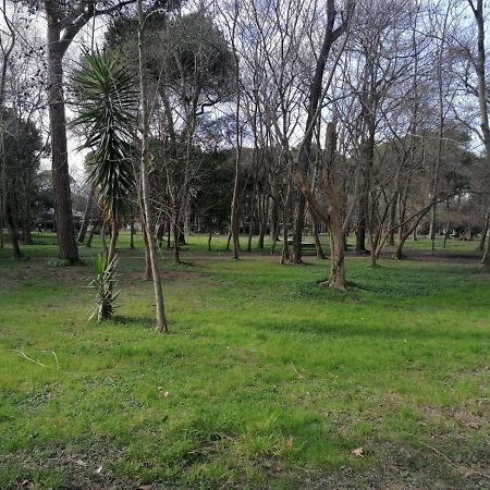 La Casina Giramondo Di Ele Viareggio Extérieur photo