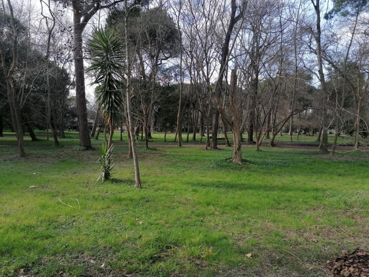 La Casina Giramondo Di Ele Viareggio Extérieur photo